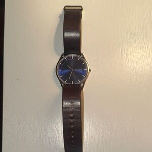 Skagen Holst - Blue Dial Steel Watch  with a Brown Leather Strap